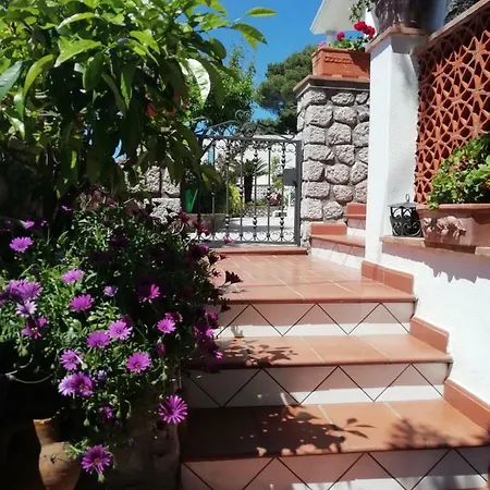 Sea View * קאפרי